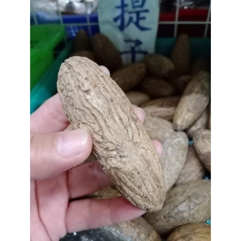 【虎達麥皂陪省團】💥熱銷優選💥現貨/8公分以上/大顆 千眼菩提子原籽/原料/菩提子 /文玩-細節圖5