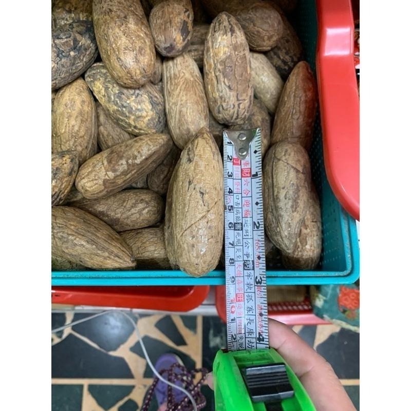 【虎達麥皂陪省團】💥熱銷優選💥現貨/8公分以上/大顆 千眼菩提子原籽/原料/菩提子 /文玩-細節圖7