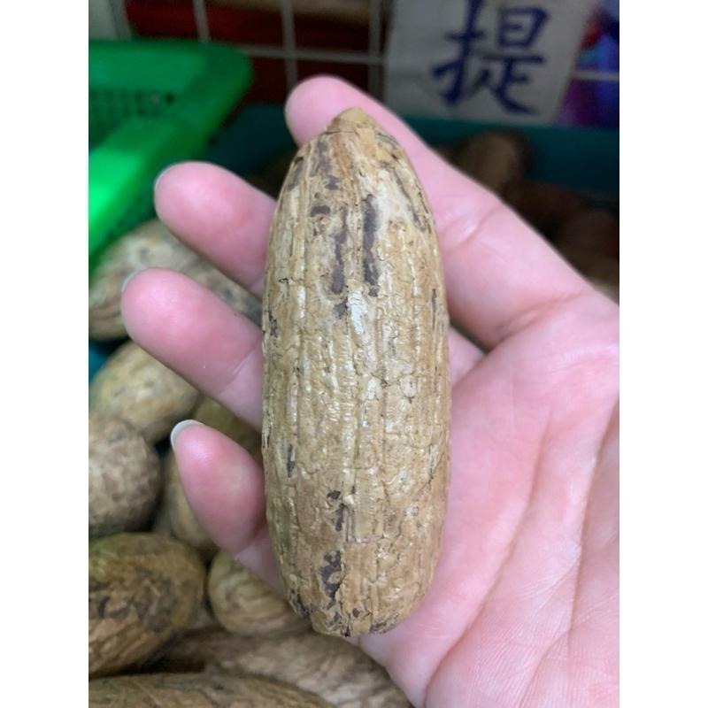 【虎達麥皂陪省團】💥熱銷優選💥現貨/8公分以上/大顆 千眼菩提子原籽/原料/菩提子 /文玩-細節圖8