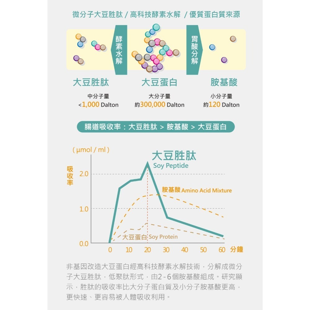【虎達麥皂陪省團】T&E Global 盛德信 富智肽 iSmart Tide 保證公司貨-細節圖6