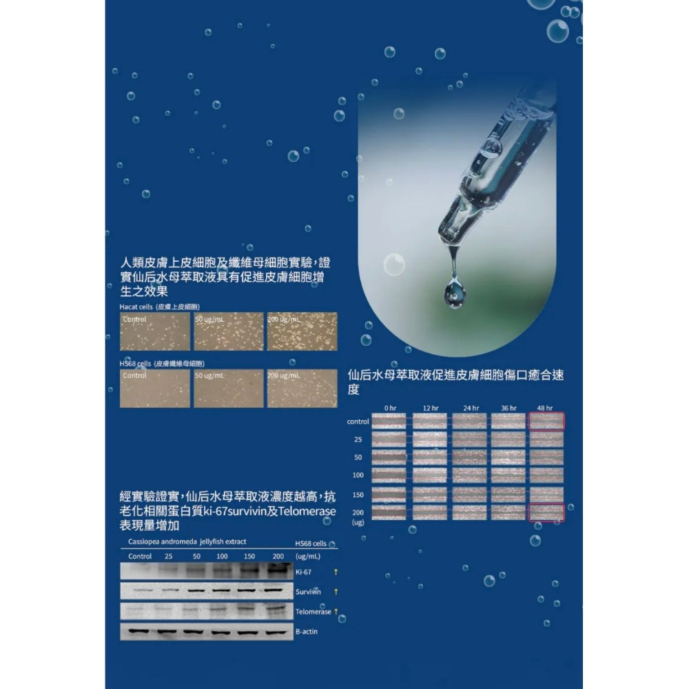 【虎達麥皂陪省團】WCH 仙后 水母 海洋精萃調理水 120mL-細節圖3