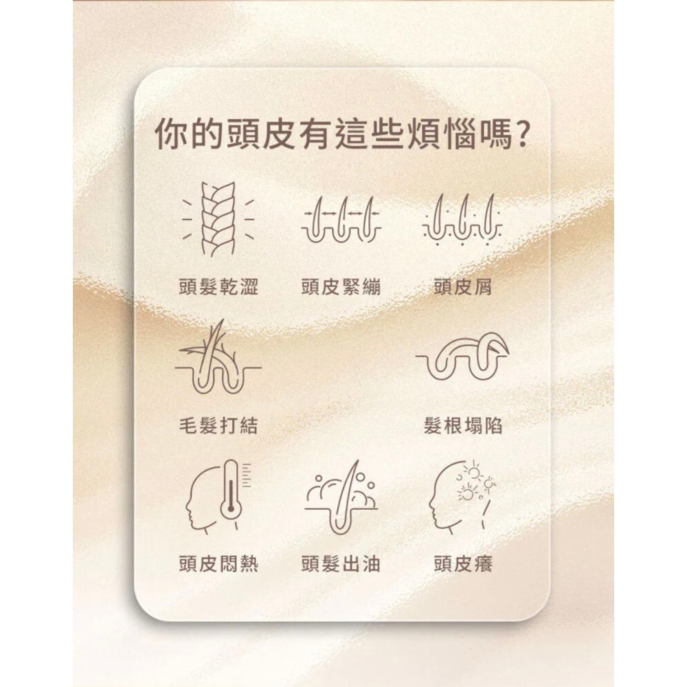 【虎達麥皂陪省團】COCOA 可可 洗髮精 (護色滋潤配方）500ml-細節圖5