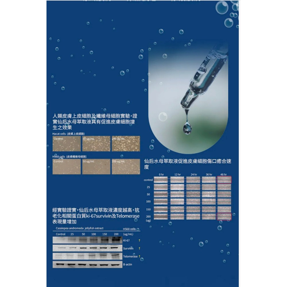 【虎達麥皂陪省團】仙后水母海洋精萃洗卸凝露 240ml-細節圖4