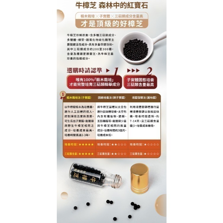 [康肽爾]牛樟芝胜肽滴丸 100粒/瓶 (牛樟芝+活性胜肽) 強強聯手-細節圖2