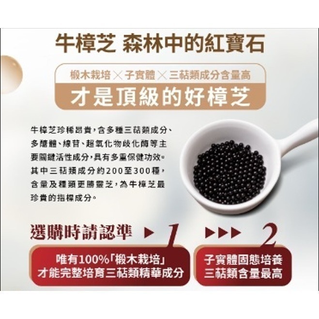 [康肽爾]牛樟芝胜肽滴丸 100粒/瓶 (牛樟芝+活性胜肽) 強強聯手-細節圖6