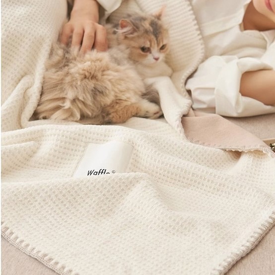 【台灣現貨】華夫格絨毛毯 午睡毯 保暖毯 懶人毯 沙發毯 空調毯 冷氣毯 露營毯 車用毯 四季毯 毛毯 毯子 被子 蓋毯-細節圖2