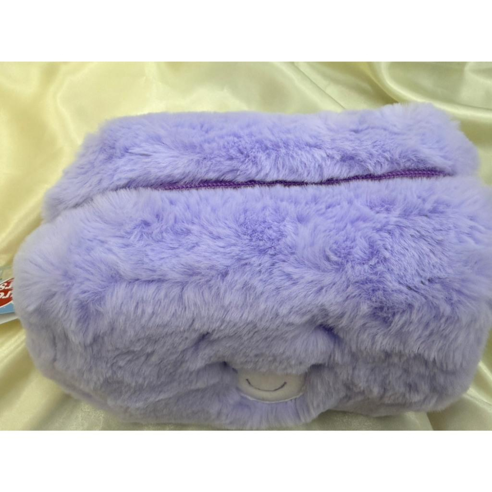 #泰國代購 Care Bears 彩虹熊 化妝包 鉛筆袋 收納包 毛絨包 絨毛包包 正版商品 擁有雷射商標-細節圖6