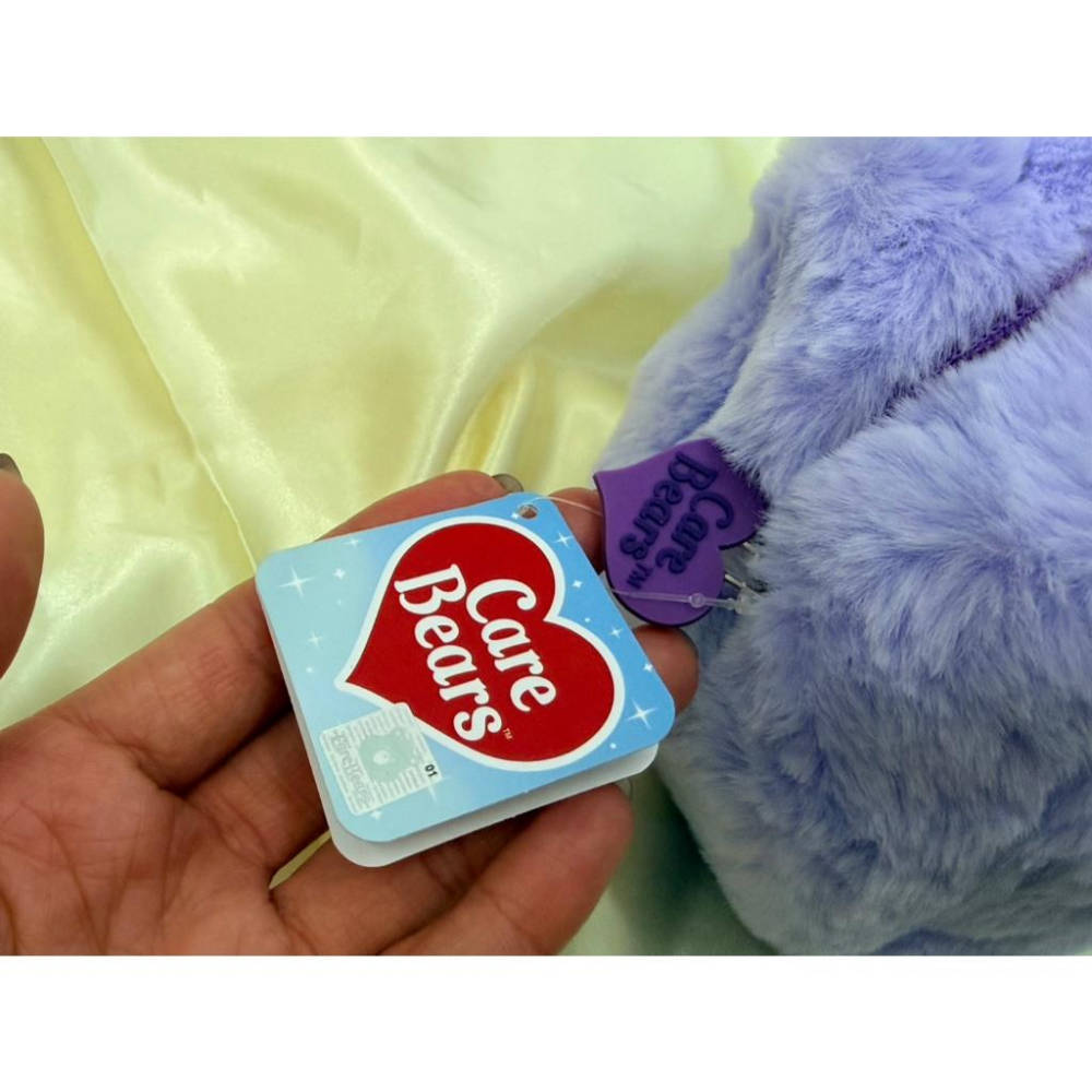 #泰國代購 Care Bears 彩虹熊 化妝包 鉛筆袋 收納包 毛絨包 絨毛包包 正版商品 擁有雷射商標-細節圖7