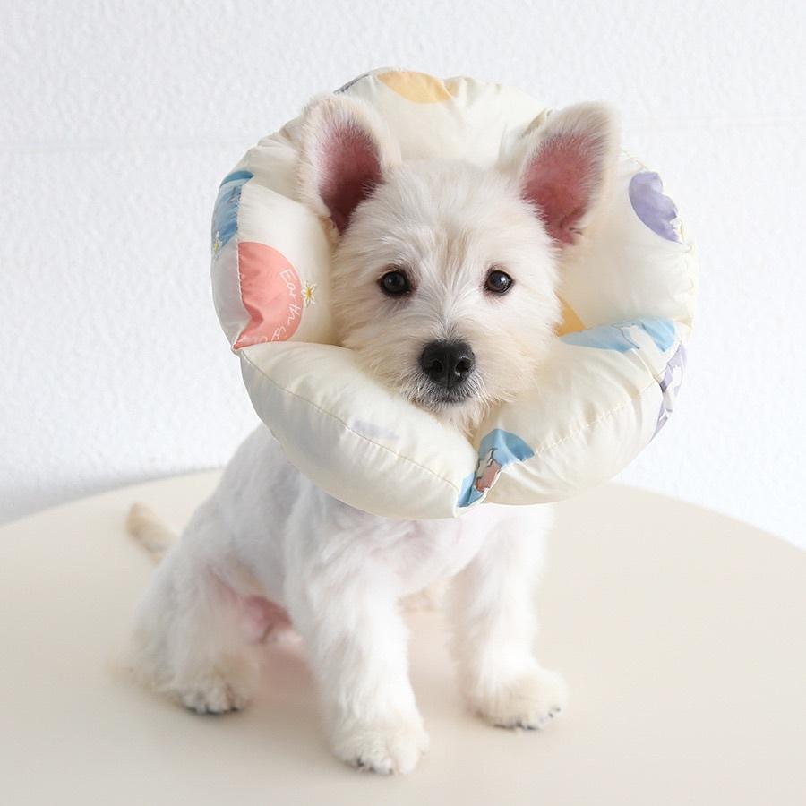 <1313選物>貝殼扇形加棉伊麗莎白圈 猫咪狗狗脖圈 寵物枕頭 項圈防抓頭套 防舔頭套 柔軟舒適 鬆緊-細節圖2