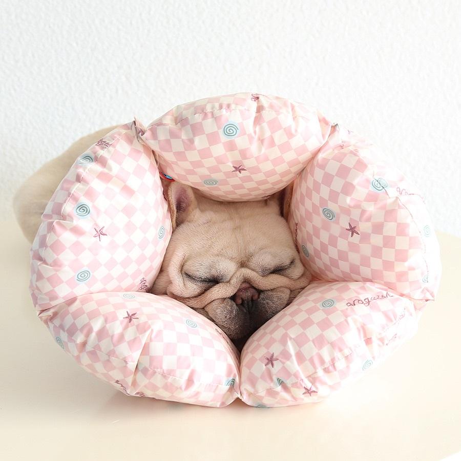 <1313選物>貝殼扇形加棉伊麗莎白圈 猫咪狗狗脖圈 寵物枕頭 項圈防抓頭套 防舔頭套 柔軟舒適 鬆緊-細節圖4