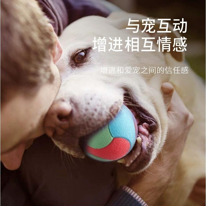 <1313選物>寵物玩具磨牙耐咬彈力球自嗨解悶訓練玩具 拼色橡膠實心球寵物玩具中大型犬玩具-細節圖4