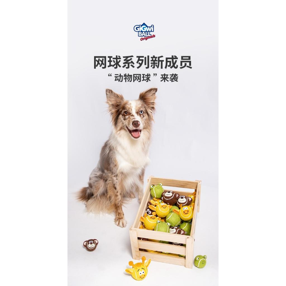 <1313選物>GiGwi貴為動物網球狗狗玩具耐咬磨牙寵物自嗨解悶神器大型犬寵物球-細節圖3