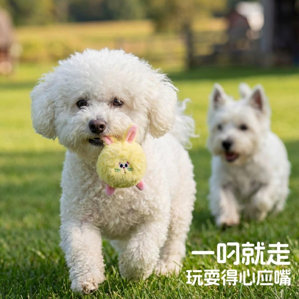 <1313選物>屁屁球 毛絨響纸球 毛绒玩具球 發聲球磨牙刺球卡通寵物用品 可愛兔兔 彈力球-細節圖5