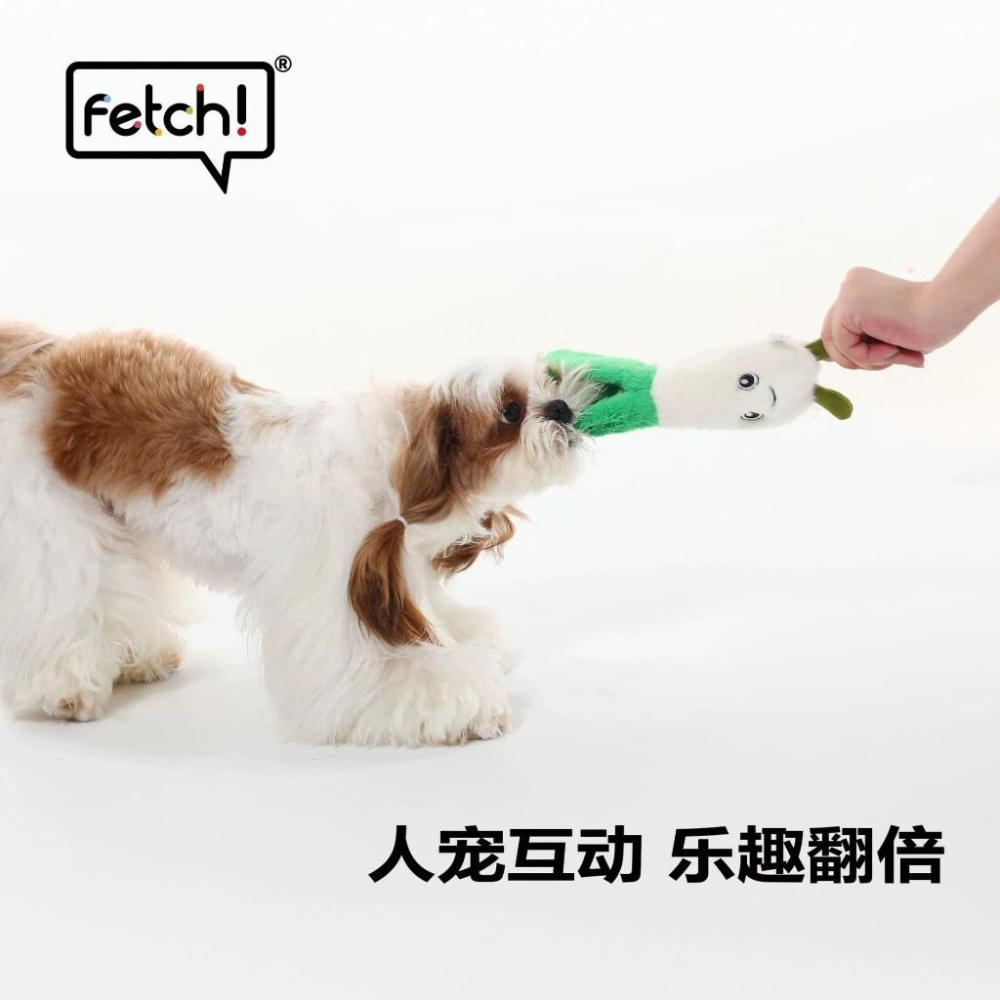 <1313選物> Fetch飛奇 可愛蔥薑蒜娃娃飛奇響紙BB叫玩具發聲玩具解悶玩具中小型犬玩具-細節圖2