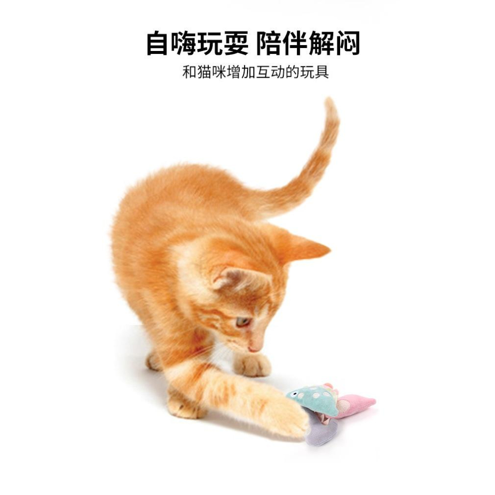 <1313選物> 可愛貓咪玩具小動物造型 含貓草貓薄荷貓咪自嗨解悶玩具 可愛毛絨玩具 寵物玩具 現貨 快速出貨-細節圖5