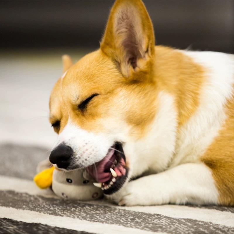 <1313選物>貴為GiGwi 動物授勳狗狗玩具 叫叫玩具 拉扯拔河玩具毛絨發聲耐咬玩具 狗狗解悶自嗨神器中小型犬玩具-細節圖4