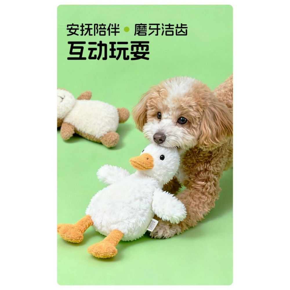 <1313選物>AFP海陸空系列 豚鼠 烏龜 海鳥 寵物玩具 狗狗發聲玩具 絨毛玩具 耐咬中大型犬自嗨解悶玩具 陪伴玩具-細節圖2