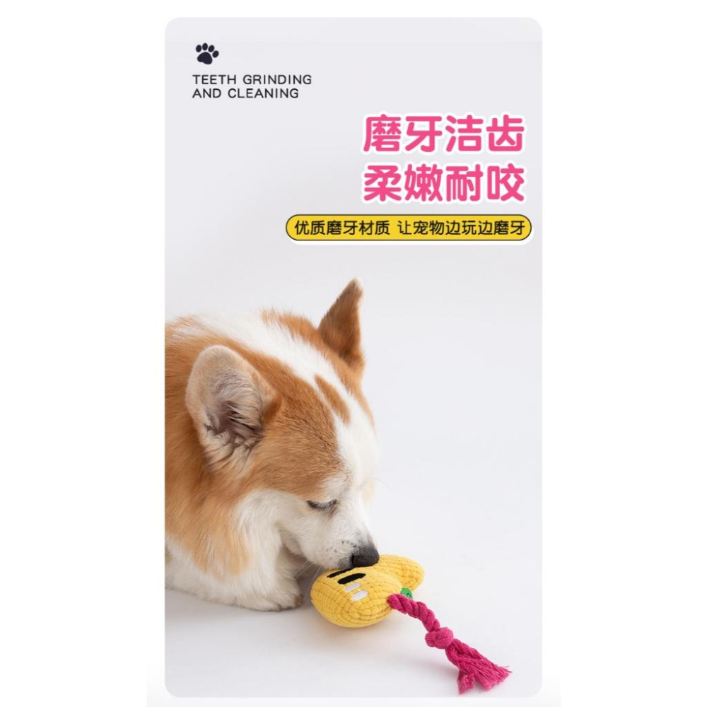 <1313選物>Kimpets寵物玩具 可愛P字娃娃 字母娃娃發聲玩具磨牙玩具自嗨解悶玩具棉繩玩具狗狗貓貓玩具-細節圖5