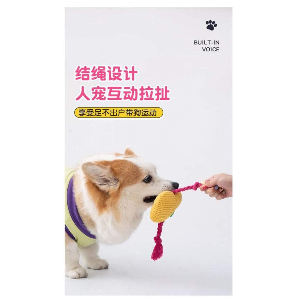 <1313選物>Kimpets寵物玩具 可愛P字娃娃 字母娃娃發聲玩具磨牙玩具自嗨解悶玩具棉繩玩具狗狗貓貓玩具-細節圖9