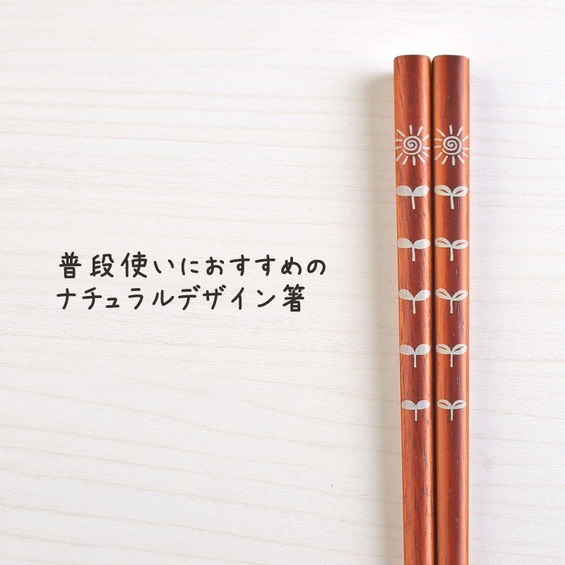 太陽