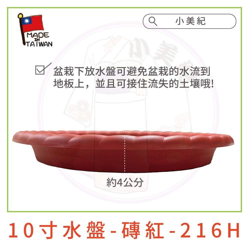 【小美紀】1尺栽培盆-磚紅 10寸水盤-磚紅 一尺栽培盆專用椰纖片（園藝資材）花盆 盆栽 種蘿蔔 種植用花盆 一尺圓盆-細節圖3