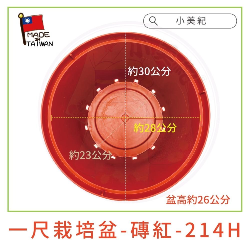 【小美紀】1尺栽培盆-磚紅 10寸水盤-磚紅 一尺栽培盆專用椰纖片（園藝資材）花盆 盆栽 種蘿蔔 種植用花盆 一尺圓盆-細節圖4
