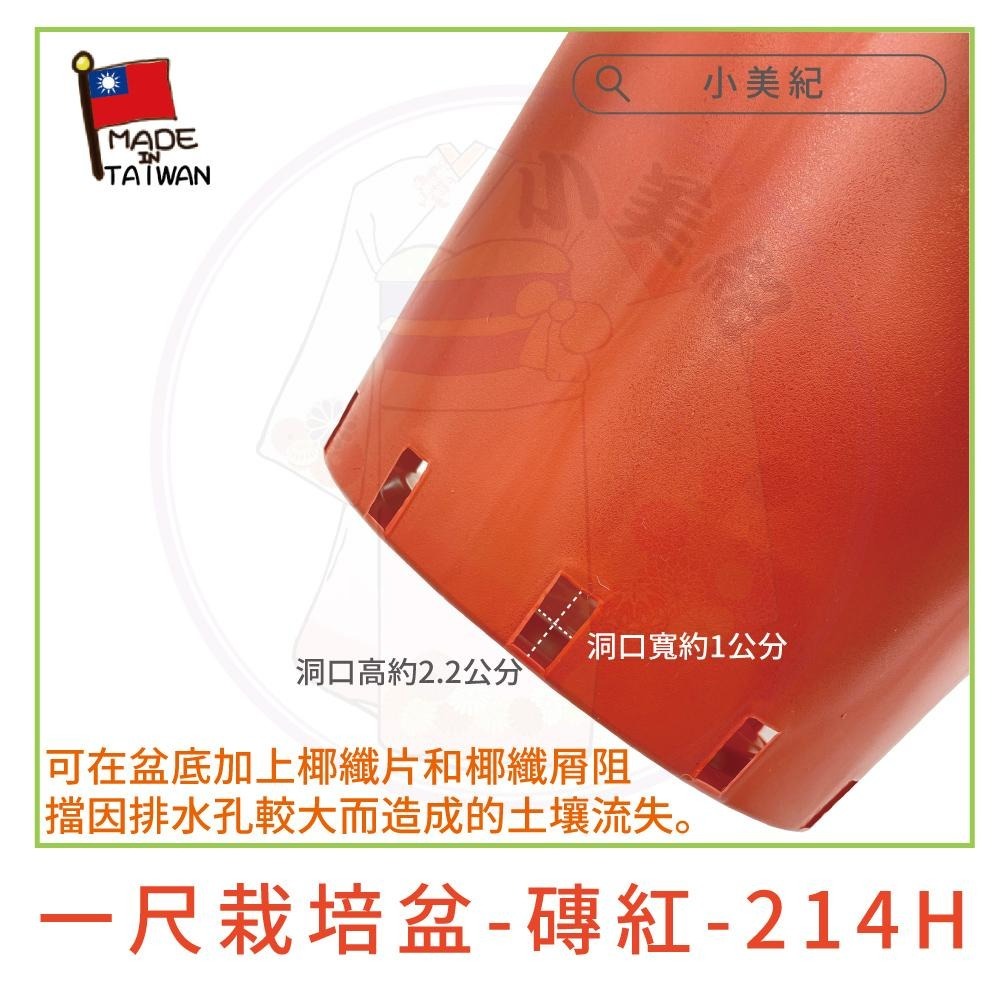 【小美紀】1尺栽培盆-磚紅 10寸水盤-磚紅 一尺栽培盆專用椰纖片（園藝資材）花盆 盆栽 種蘿蔔 種植用花盆 一尺圓盆-細節圖5