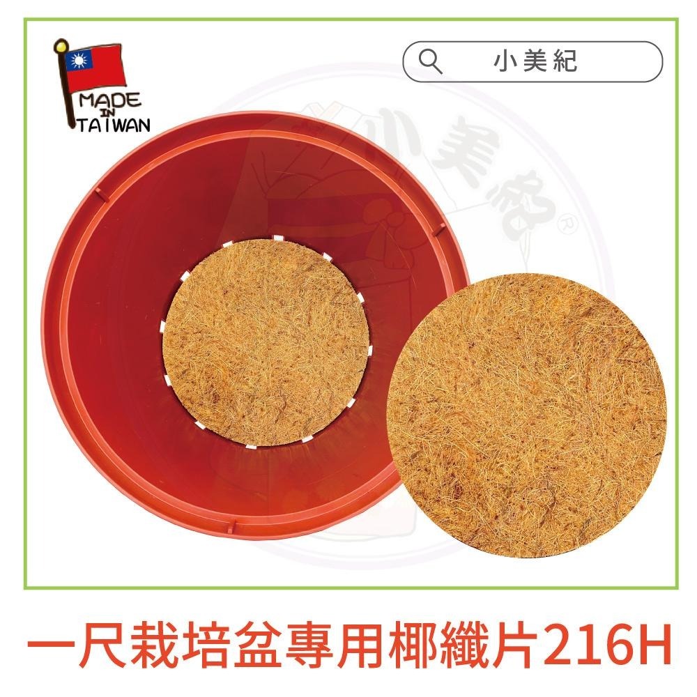 【小美紀】1尺栽培盆-磚紅 10寸水盤-磚紅 一尺栽培盆專用椰纖片（園藝資材）花盆 盆栽 種蘿蔔 種植用花盆 一尺圓盆-細節圖6
