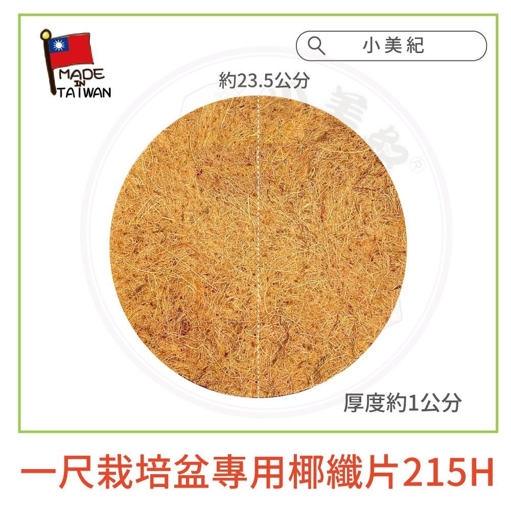 【小美紀】1尺栽培盆-磚紅 10寸水盤-磚紅 一尺栽培盆專用椰纖片（園藝資材）花盆 盆栽 種蘿蔔 種植用花盆 一尺圓盆-細節圖7