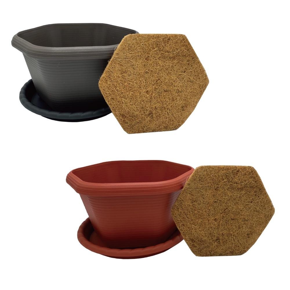 【小美紀】1尺六角盆 水盤（園藝資材）花盆 盆栽 園藝花器 種植用花盆 室內花盆 花架 多肉植物 小花盆 多肉 六角淺盆-細節圖2