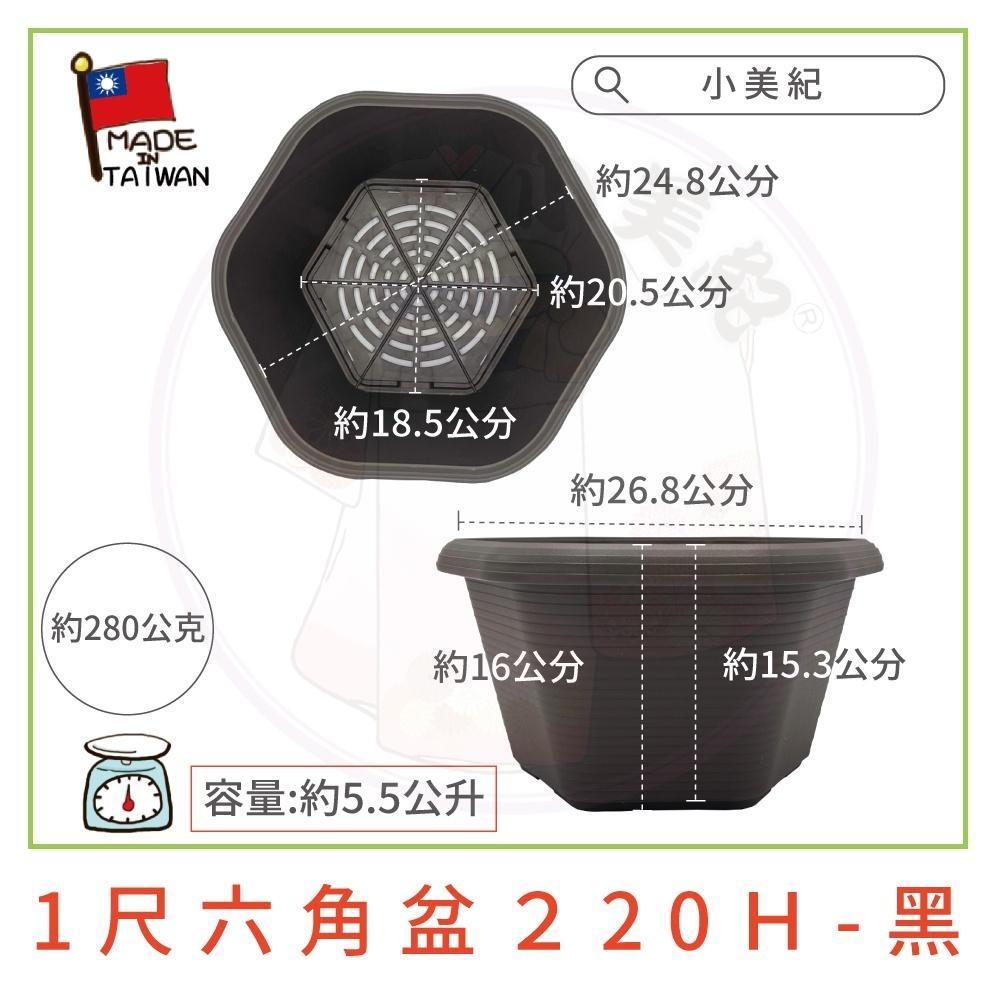 【小美紀】1尺六角盆 水盤（園藝資材）花盆 盆栽 園藝花器 種植用花盆 室內花盆 花架 多肉植物 小花盆 多肉 六角淺盆-細節圖4