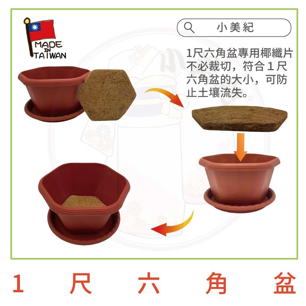【小美紀】1尺六角盆 水盤（園藝資材）花盆 盆栽 園藝花器 種植用花盆 室內花盆 花架 多肉植物 小花盆 多肉 六角淺盆-細節圖8