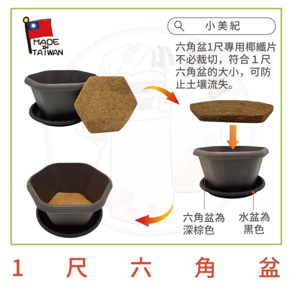 【小美紀】1尺六角盆 水盤（園藝資材）花盆 盆栽 園藝花器 種植用花盆 室內花盆 花架 多肉植物 小花盆 多肉 六角淺盆-細節圖9