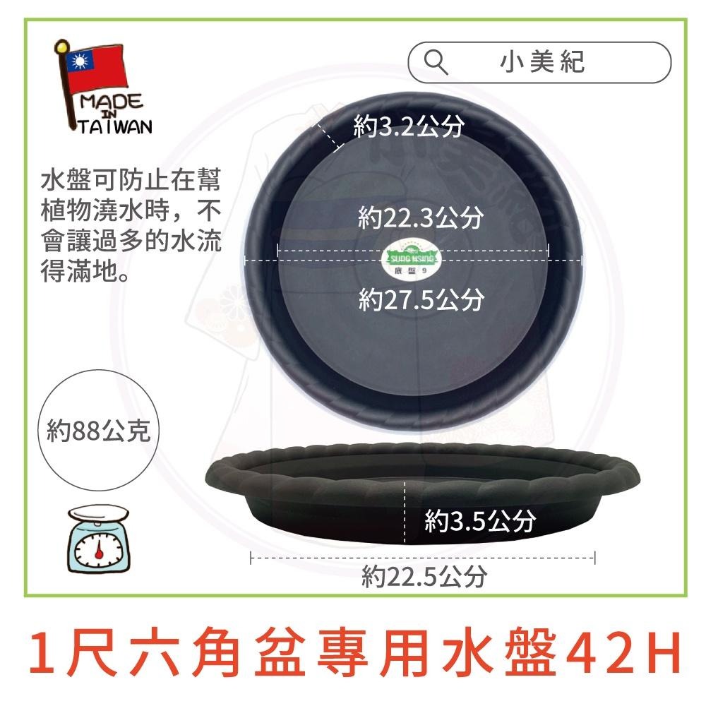 【小美紀】1尺水盤 42H（園藝資材）花盆水盤 盆栽 花器水盤 種植用花盆底盤 花架 9寸水盤 小花盆 1尺六角盆 多肉-細節圖4
