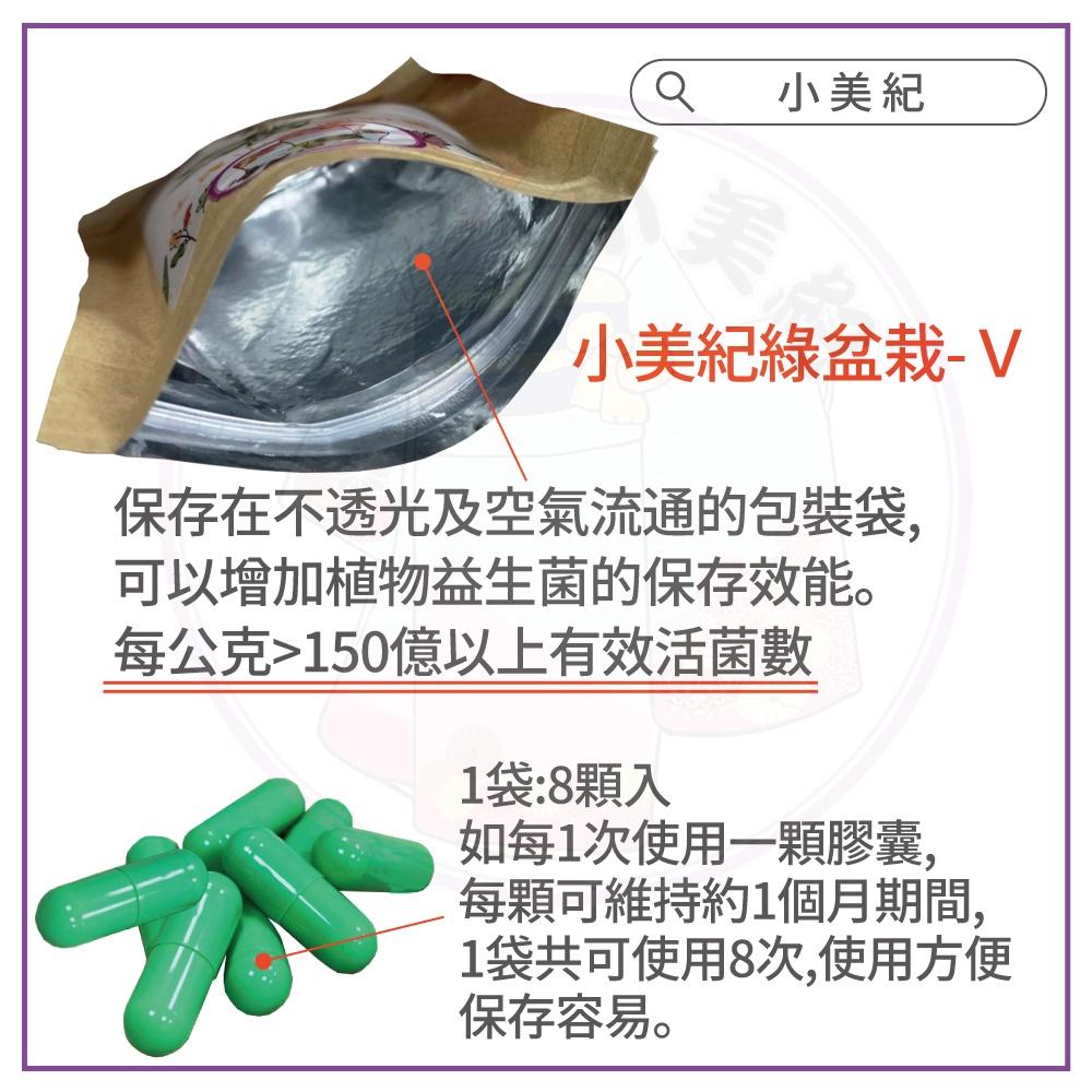 【小美紀】綠盆栽V(益生菌肥料)成長肥 多肉肥料 開花肥 病蟲預防 養葉肥料 液態肥 花肥 觀葉植物肥料 土壤 培養土-細節圖5