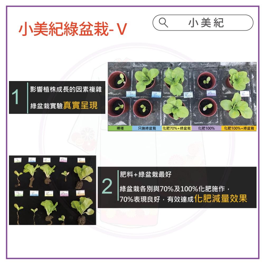 【小美紀】綠盆栽V(益生菌肥料)成長肥 多肉肥料 開花肥 病蟲預防 養葉肥料 液態肥 花肥 觀葉植物肥料 土壤 培養土-細節圖8