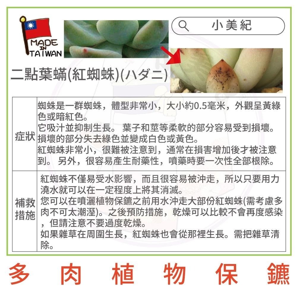 【小美紀】植物保鑣 (園藝資材)多肉植物 盆栽 花卉 白粉病 紅蜘蛛 蚜蟲 葉蟎 蚜蟲 介殼蟲 锈病 植物保標 植物病蟲-細節圖7