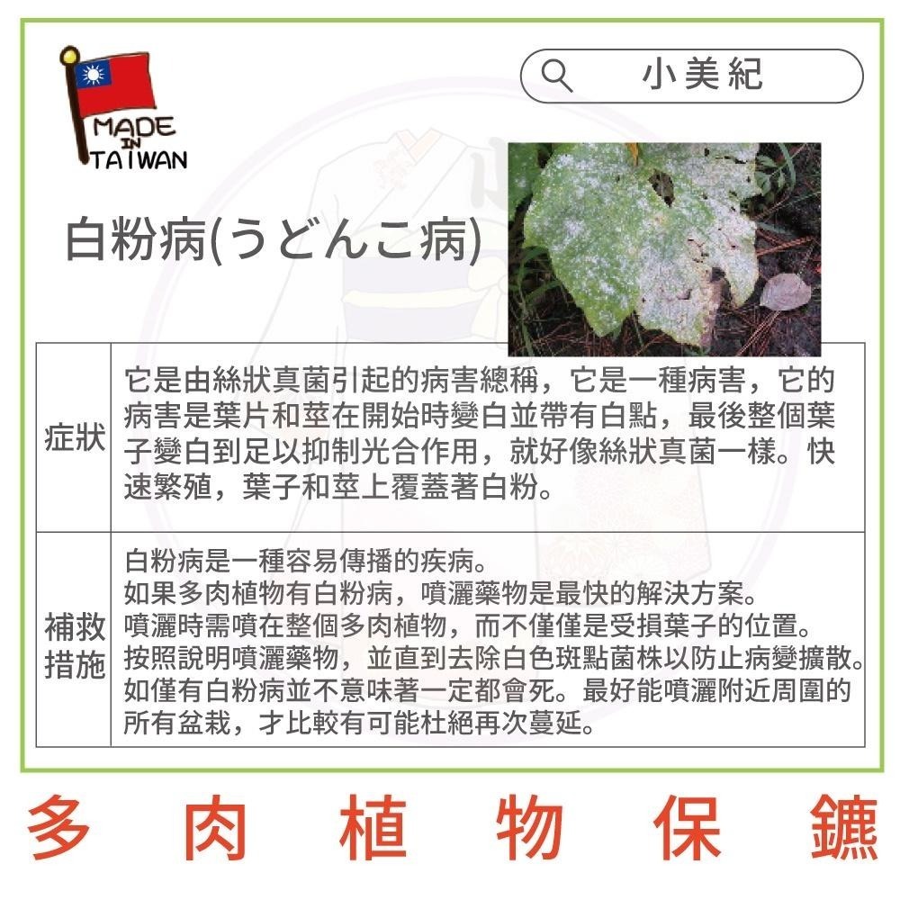 【小美紀】植物保鑣 (園藝資材)多肉植物 盆栽 花卉 白粉病 紅蜘蛛 蚜蟲 葉蟎 蚜蟲 介殼蟲 锈病 植物保標 植物病蟲-細節圖8