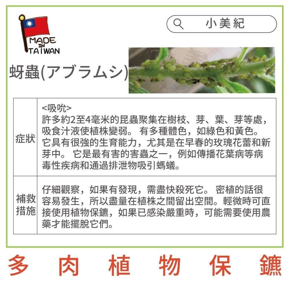 【小美紀】植物保鑣 (園藝資材)多肉植物 盆栽 花卉 白粉病 紅蜘蛛 蚜蟲 葉蟎 蚜蟲 介殼蟲 锈病 植物保標 植物病蟲-細節圖9