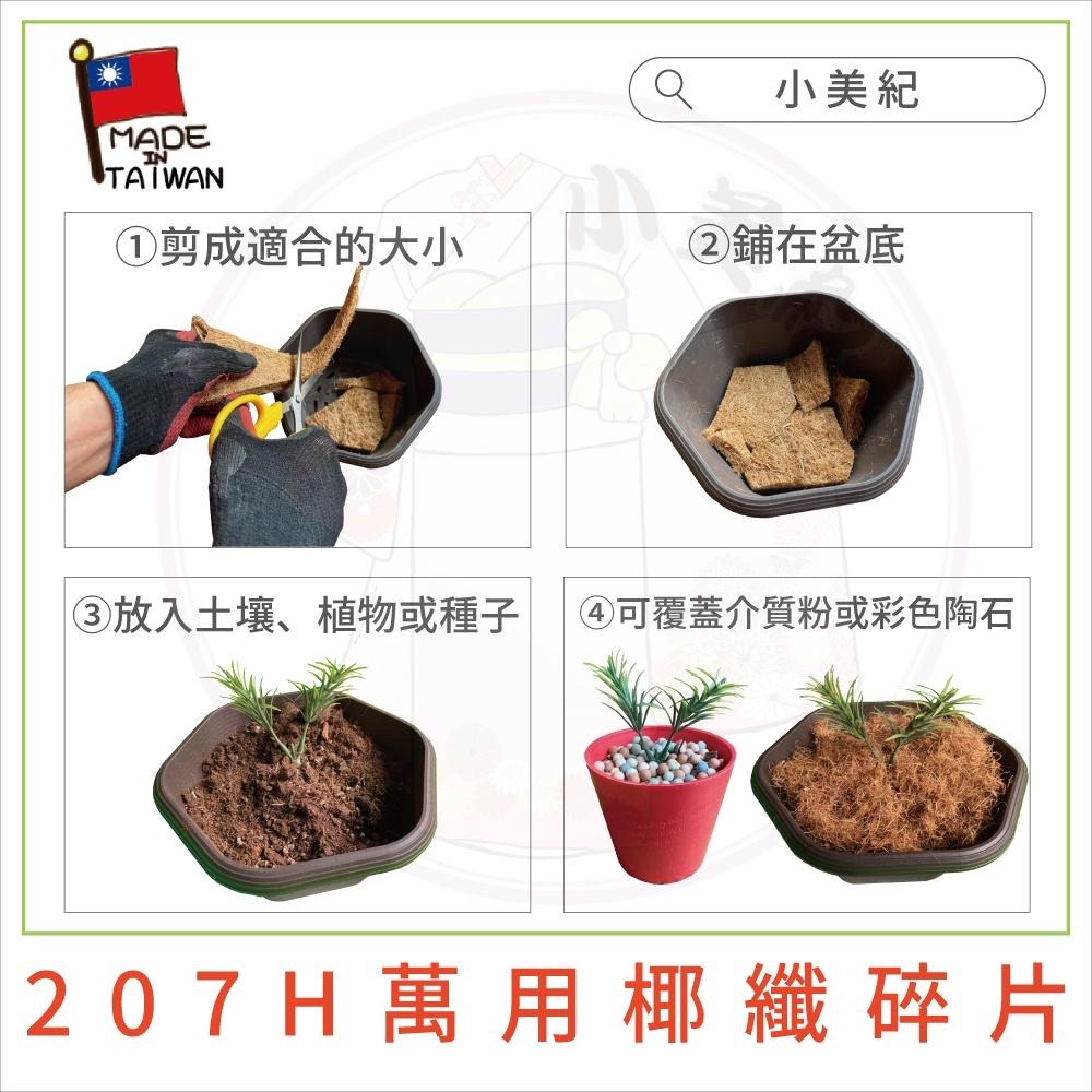 【小美紀】萬用椰纖片（土壤介質）椰纖屑 椰纖絲 椰纖碎片 有機肥料 介質 培養土 多肉土 花架 花盆花器 種子花苗 土壤-細節圖3
