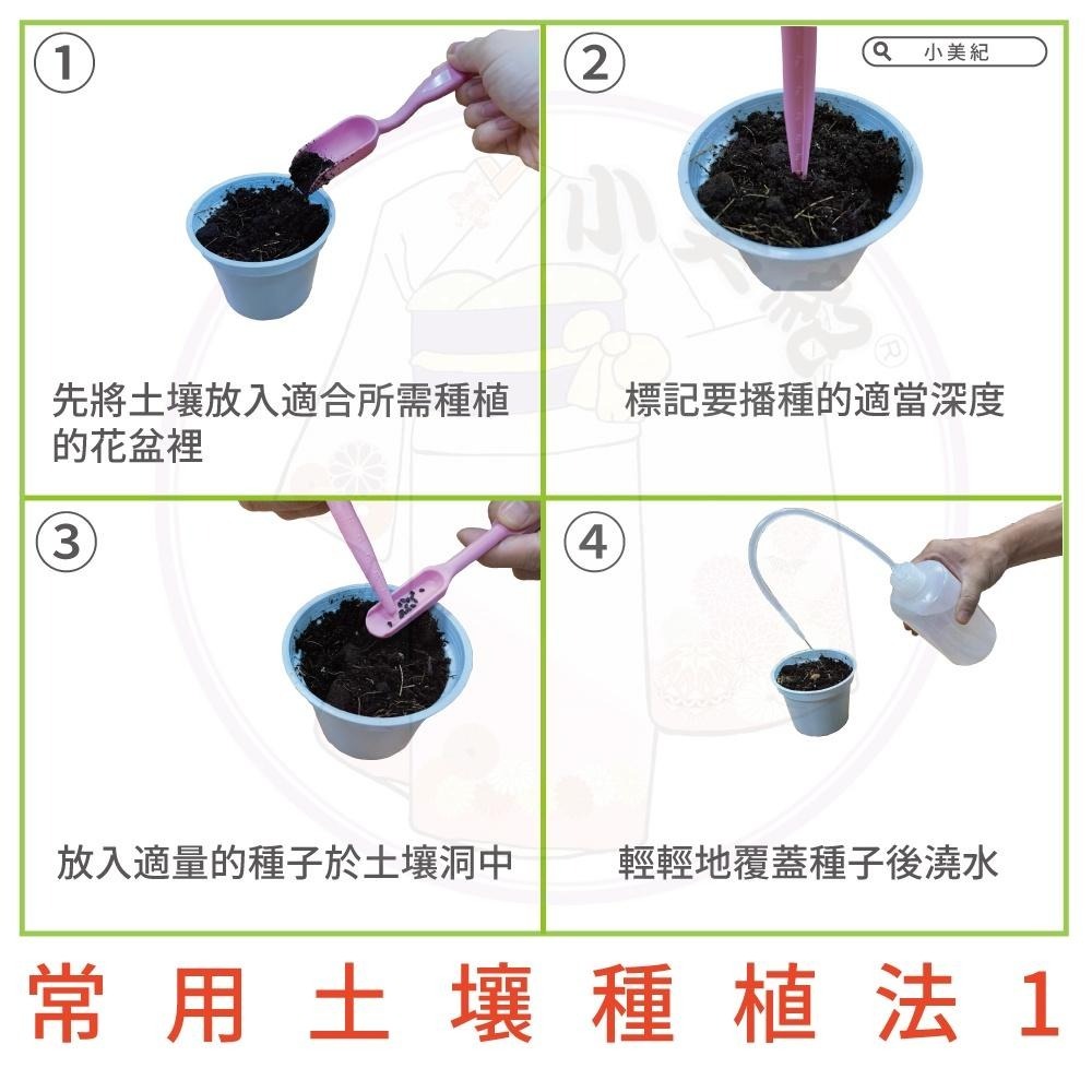 【小美紀】優質種子(園藝植作)窩苣 茼蒿 A菜 菠菜 花苗 土壤種植 蔬菜 盆栽 種子 介質 花卉 肥料 長槽盆 小美紀-細節圖3