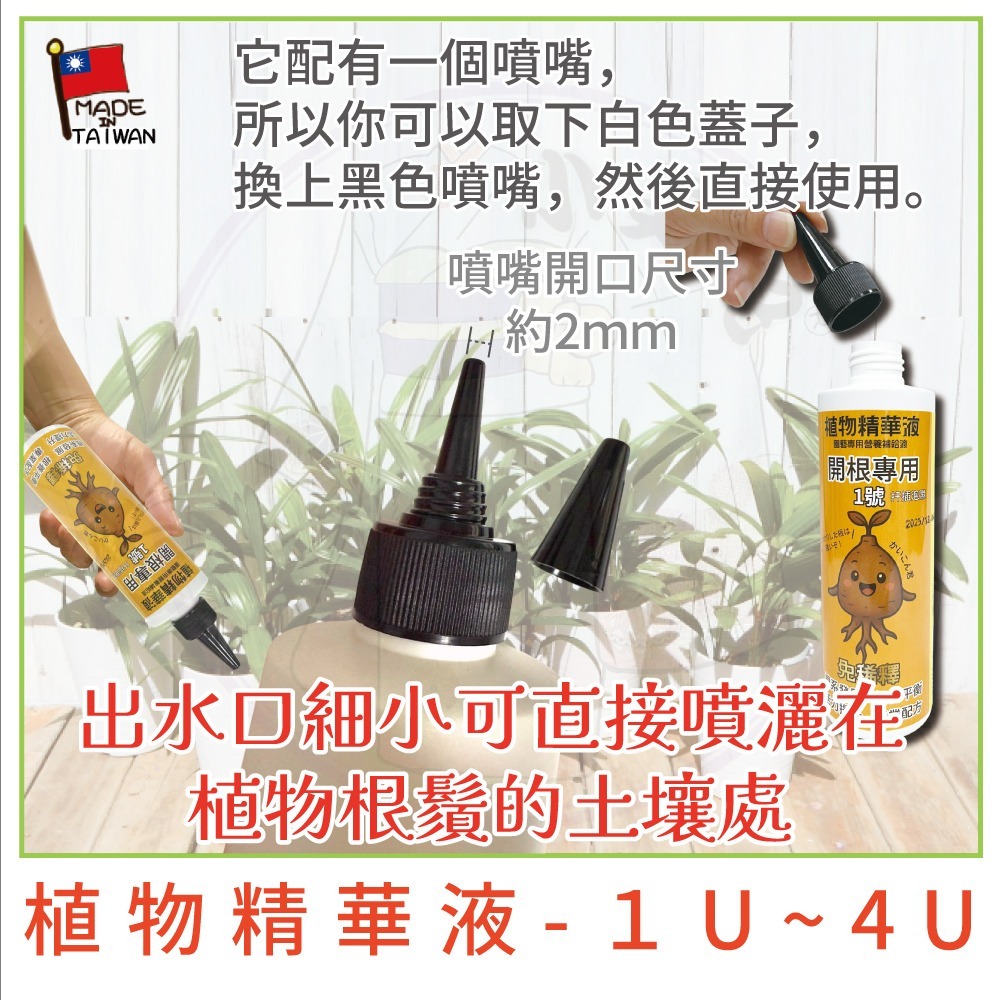 【小美紀】植物精華液 爆芽王 多肉 喜酸性 藍莓 仙人掌 開根 成長肥 開花肥 觀葉植物 肥料 花肥 養葉肥-細節圖3