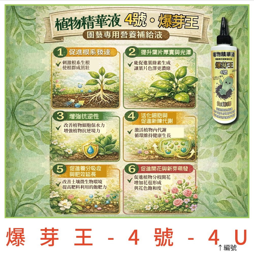 【小美紀】植物精華液 爆芽王 多肉 喜酸性 藍莓 仙人掌 開根 成長肥 開花肥 觀葉植物 肥料 花肥 養葉肥-細節圖6