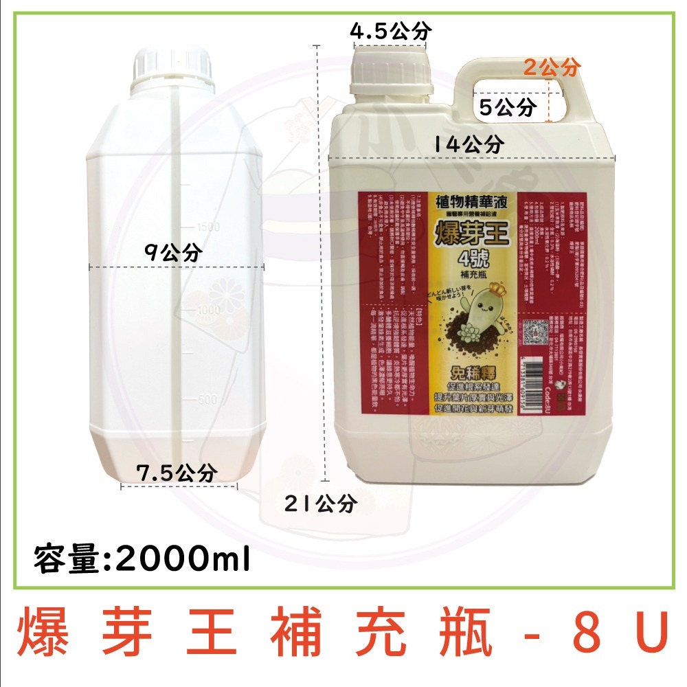 【小美紀】植物精華液 爆芽王 多肉 喜酸性 藍莓 仙人掌 開根 成長肥 開花肥 觀葉植物 肥料 花肥 養葉肥-規格圖11
