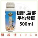 開根液500ml-補充瓶-根莖平均發展