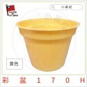 6入裝-3寸馬卡龍彩盆170H-黃色
