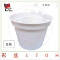 6入裝-3寸馬卡龍彩盆170H-白色