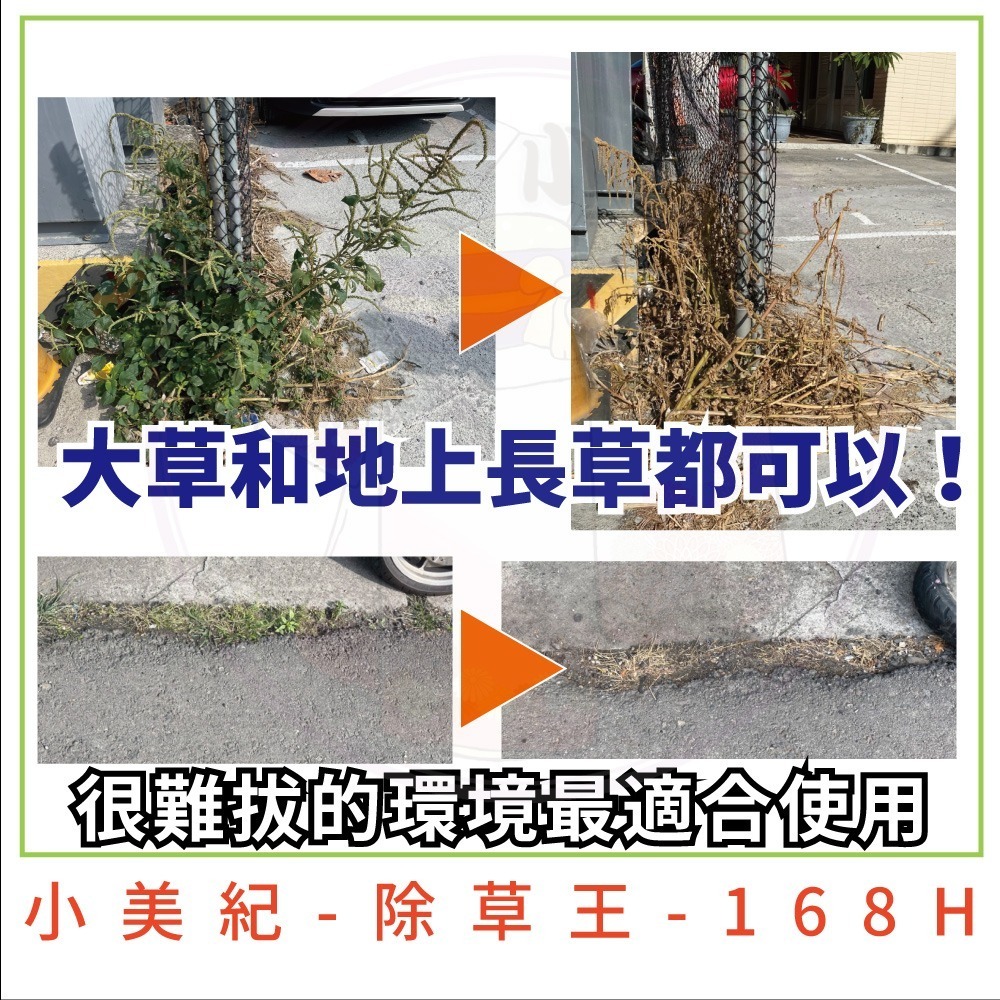 【小美紀】除草王 (園藝資材) 除草藥劑 除草 雜草 治草劑 拔草 園藝 庭園造景 牛荕草 土香 芒草 除草劑 拔草工具-細節圖4