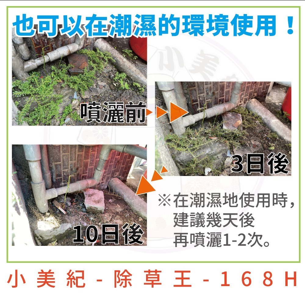 【小美紀】除草王 (園藝資材) 除草藥劑 除草 雜草 治草劑 拔草 園藝 庭園造景 牛荕草 土香 芒草 除草劑 拔草工具-細節圖5