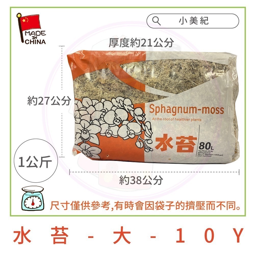 【小美紀】水苔 (園藝資材) 水苔 蕨類 水培植物 水草 介質 鹿角蕨水苔 蘭花水苔 植物水苔 甲蟲 獨角仙 智利水苔-細節圖3